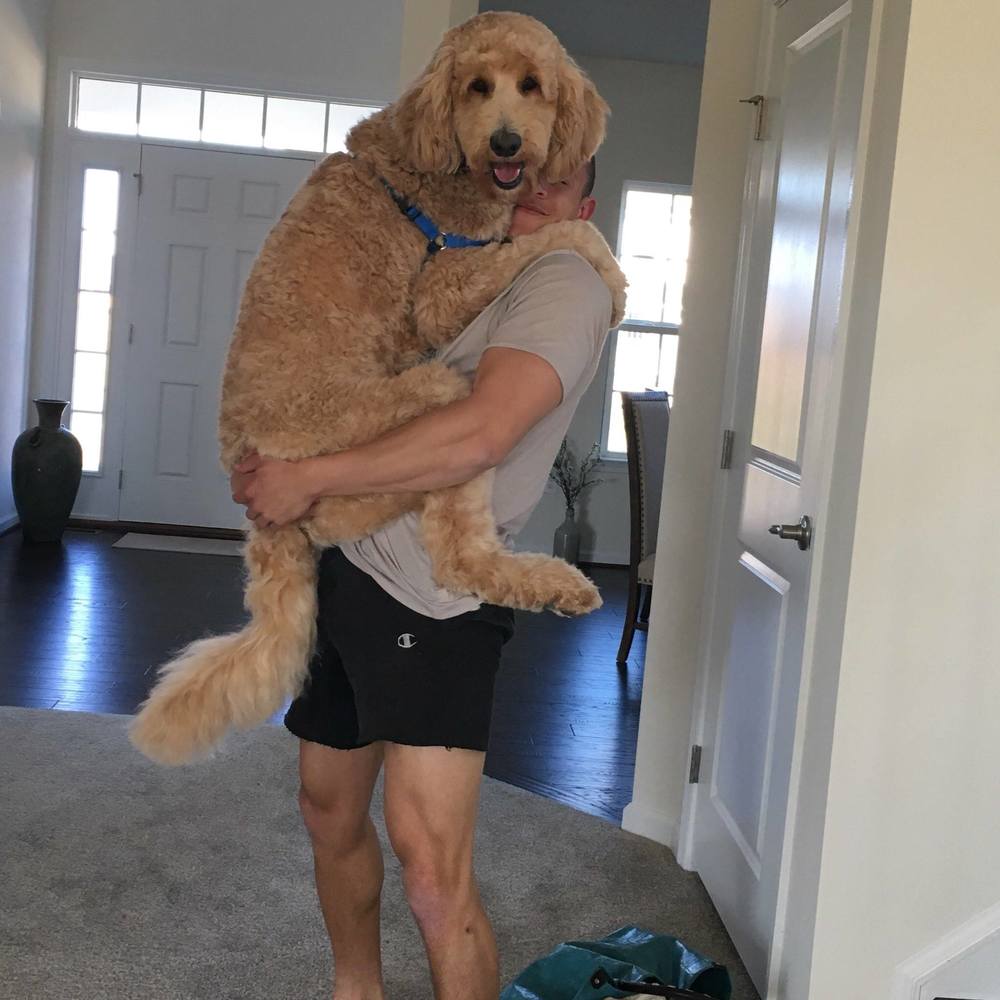 Meet your Posher, Nate